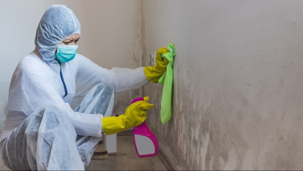 Mold Remediation Pittsburgh Mold Remediation