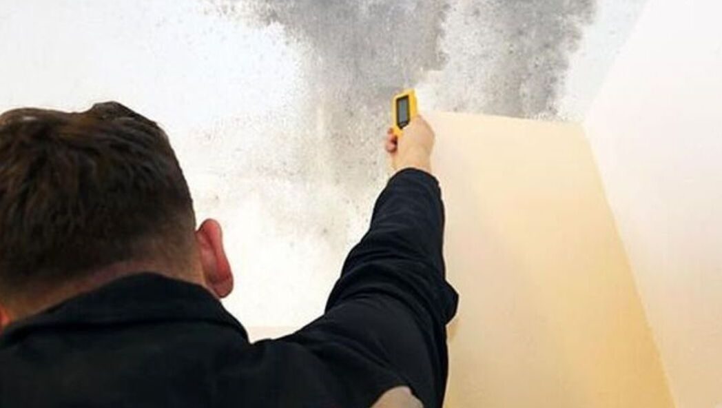 Mold Remediation Pittsburgh Mold Remediation