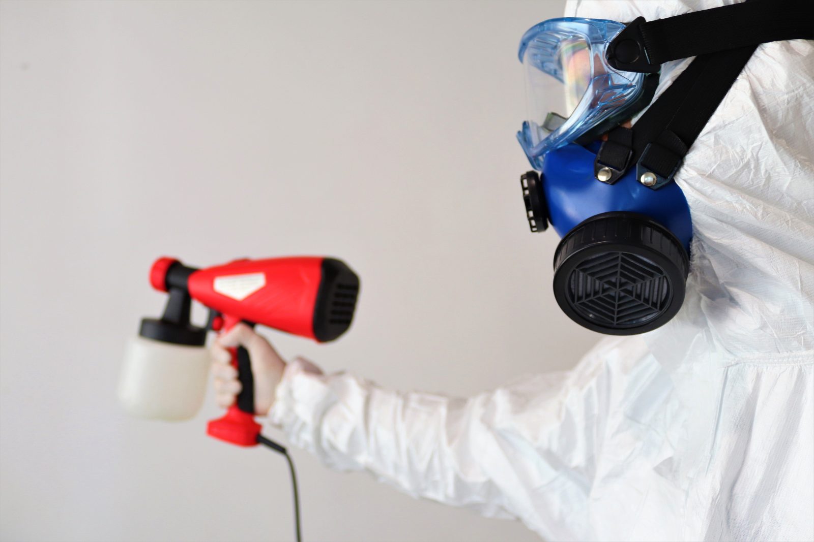 Mold Inspection