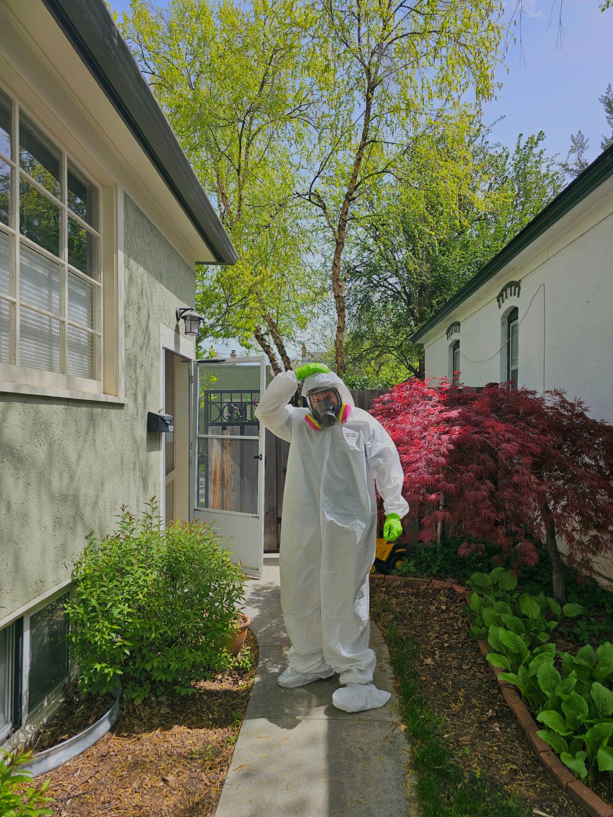 Mold Inspection